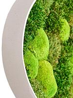 Картина из мха organic frame #2 sand mos (mix) L50 W43 H5 см