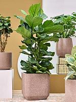 Кашпо Baq terrazzo rounded cube mocha L45 W45 H46 см