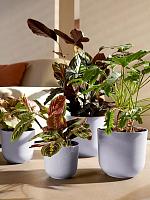 Кашпо Jazz round lavender lilac D35 H32 см