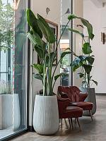 Кашпо Ridged vertically patt high m cement D44 H66 см