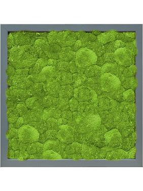 Картина из мха mdf ral 7016 satin gloss 100% ball moss Картина из мха mdf ral 7016 satin gloss 100% ball moss