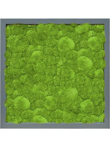 Картина из мха mdf ral 7016 satin gloss 100% ball moss Картина из мха mdf ral 7016 satin gloss 100% ball moss