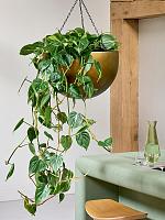 Кашпо подвесное Baq gradient hanging bowl matt honey D45 H28 см