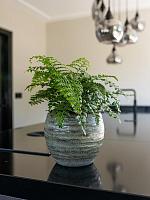 Кашпо Manuel pot shiny thyme D25 H21 см