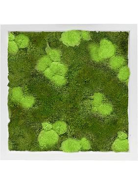 Картина из мха mdf ral 9010 satin gloss 30% ball- and 70% flat moss Картина из мха mdf ral 9010 satin gloss 30% ball- and 70% flat moss