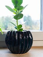 Кашпо Sanah pot petrol D17 H14 см