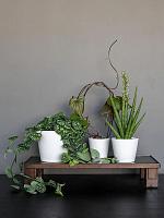 Кашпо Ceramic inez xs vanilla white D11 H10 см