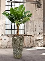 Кашпо Baq lava partner straight relic jade D46 H85 см