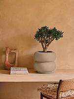 Кашпо Premium amber roll low beige D43 H40 см