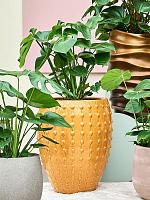 Кашпо Laos emperor ochre D44 H55 см
