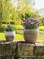 Кашпо Dyon pot purple rain (набор 3 шт) D32 H27 см Кашпо Dyon pot purple rain (набор 3 шт) D32 H27 см