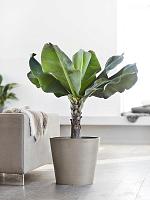 Кашпо Ecopots amsterdam 40 taupe D40 H35 см