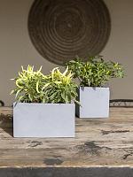 Кашпо Natural fleur s grey L15 W15 H15 см