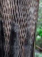 Кашпо Baq luxe lite universe comet partner straight bronze D38 H110 см