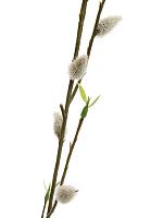 Ветка Ивы с серыми почками искусственная H80 см