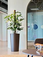 Кашпо Baq ecoline rise structure partner straight D40 H75 см