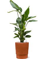 Кашпо Chao pot terra D28 H32 см