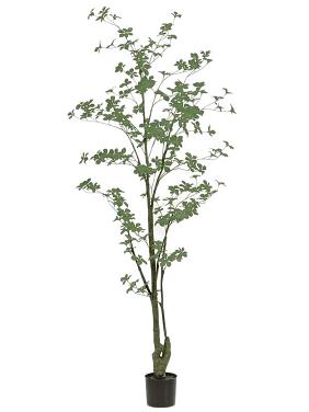 Настурция искусственная