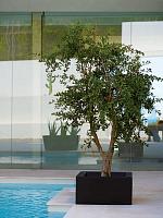 Кашпо Land basic planter L80 W80 H30 см