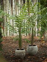 Папоротник искусственный W140 H180 см Папоротник искусственный W140 H180 см