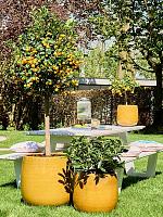 Кашпо Balloon pot honey D43 H43 см