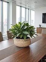 Кашпо Baq atlas bowl brown D40 H20 см