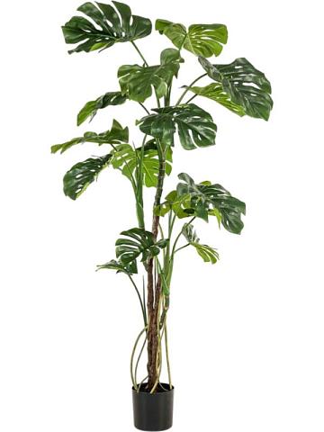 Монстера с воздушными корнями искусственная