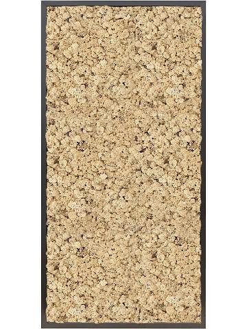 Картина из мха mdf ral 9005 satin gloss 100% reindeer moss (natural) Картина из мха mdf ral 9005 satin gloss 100% reindeer moss (natural)