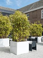 Кашпо Fiberstone jumbo without feet xl glossy white L110 W110 H92 см Кашпо Fiberstone jumbo without feet xl glossy white L110 W110 H92 см