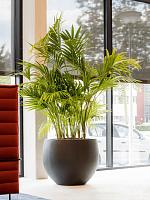 Кашпо Natural orb l black D68 H57 см