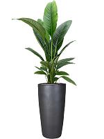 Кашпо Plain partner anthracite D36 H70 см