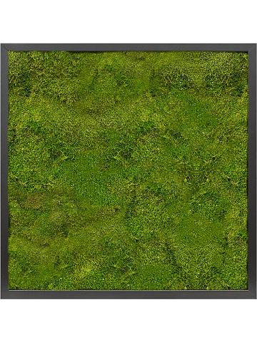 Картина из мха mdf ral 9005 satin gloss 100% flat moss Картина из мха mdf ral 9005 satin gloss 100% flat moss
