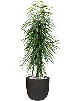 Кашпо Capi urban smooth nl planter ball black D35 H34 см Кашпо Capi urban smooth nl planter ball black D35 H34 см