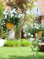Кашпо подвесное Vibia campana hanging basket honey yellow D26 H18 см Кашпо подвесное Vibia campana hanging basket honey yellow D26 H18 см