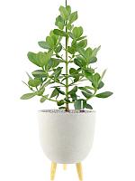 Кашпо Ruth pot sand (набор 2 шт) D32 H41 см