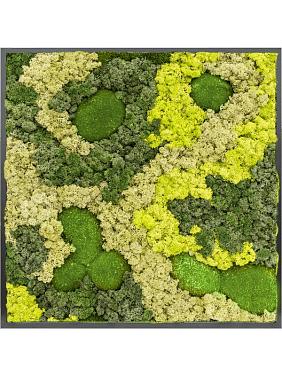 Картина из мха mdf ral 9005 satin gloss 30% ball moss 70% reindeer moss (mix) Картина из мха mdf ral 9005 satin gloss 30% ball moss 70% reindeer moss (mix)