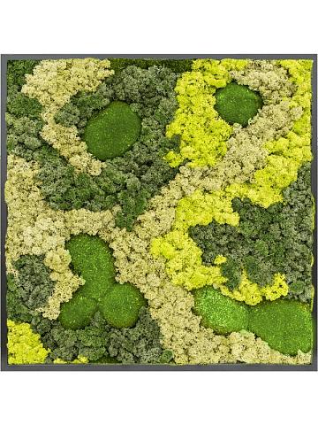 Картина из мха mdf ral 9005 satin gloss 30% ball moss 70% reindeer moss (mix) Картина из мха mdf ral 9005 satin gloss 30% ball moss 70% reindeer moss (mix)