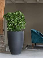 Кашпо Refined ben xl volcano black D52 H72 см