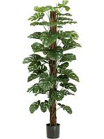 Монстера на опоре искусственная W25 H180 см