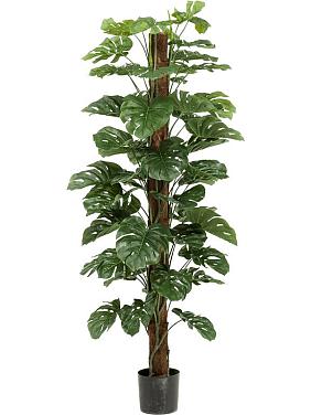 Монстера на опоре искусственная