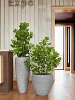 Кашпо Baq naturescast partner grey (с техническим горшком) D30 H70 см