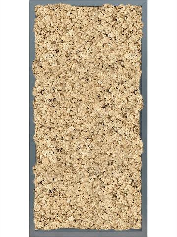 Картина из мха mdf ral 7016 satin gloss 100% reindeer (natural) Картина из мха mdf ral 7016 satin gloss 100% reindeer (natural)