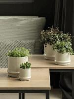 Кашпо Hurl orchidpot creme D15 H13 см Кашпо Hurl orchidpot creme D15 H13 см