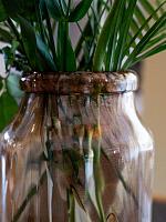 Ваза Noelle vase shiny sepia D20 H23 см Ваза Noelle vase shiny sepia D20 H23 см