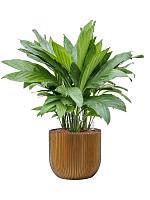 Кашпо Capi nature groove planter ball black gold D24 H21 см