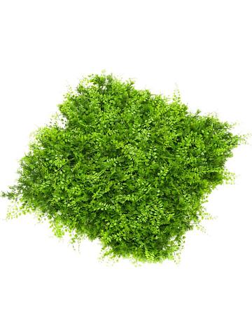 Панель из искусственного папоротника и можжевельника Панель из искусственного папоротника и можжевельника