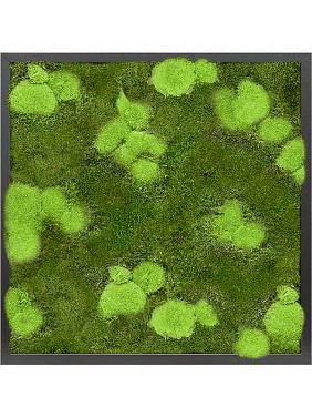 Картина из мха mdf ral 9005 satin gloss 30% ball- and 70% flat moss Картина из мха mdf ral 9005 satin gloss 30% ball- and 70% flat moss