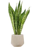 Кашпо Baq raindrop darcy beige D30 H26 см