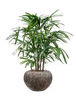 Кашпо Baq luxe lite universe waterfall globe bronze D39 H27 см Кашпо Baq luxe lite universe waterfall globe bronze D39 H27 см