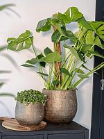 Кашпо Ryan pot shiny gold D22 H20 см